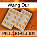 Hard Wang cialis4